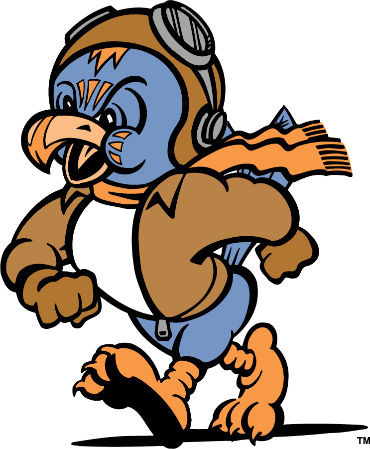 Tennessee-Martin Skyhawks 1995-2007 Mascot Logo DIY iron on transfer (heat transfer)